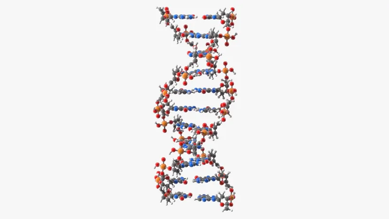 B Form DNA Structure 3D model preview