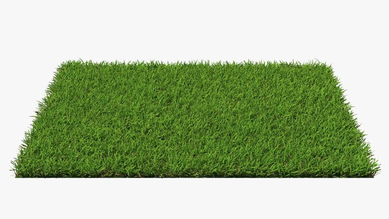 Centipede Warm Season Grass 3D model preview