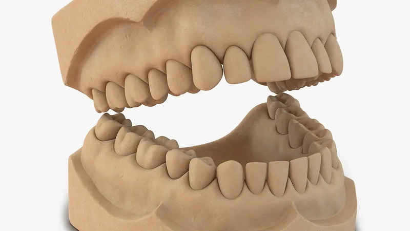 Dental Mold 3D model preview