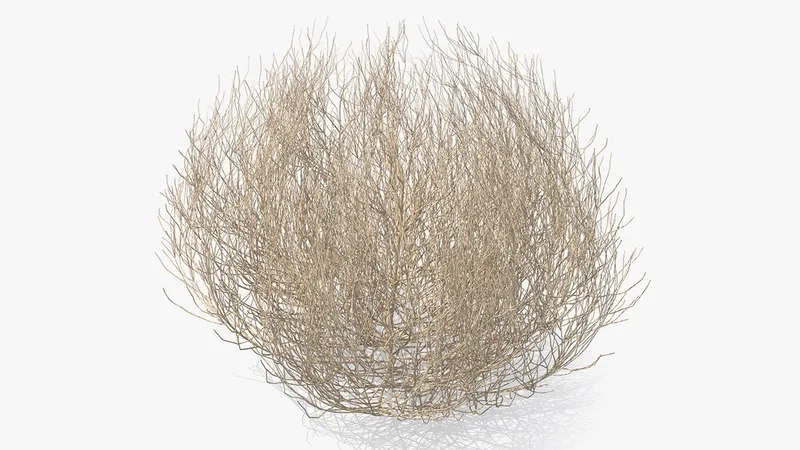 Desert Tumbleweed 3D model preview