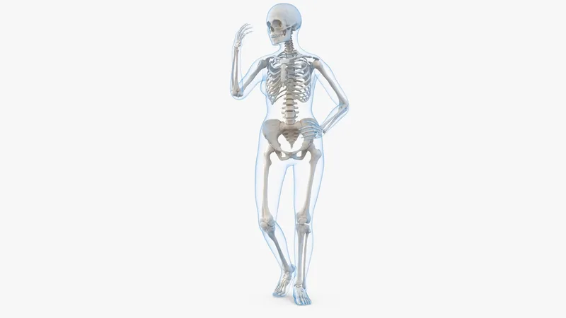 Female Body with Skeleton Rigged 3D model preview