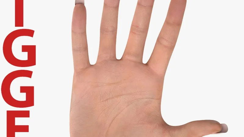 Female Hand 2 Rigged for Cinema 4D 3D model preview