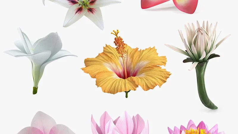 Flowers Collection 12 3D model preview