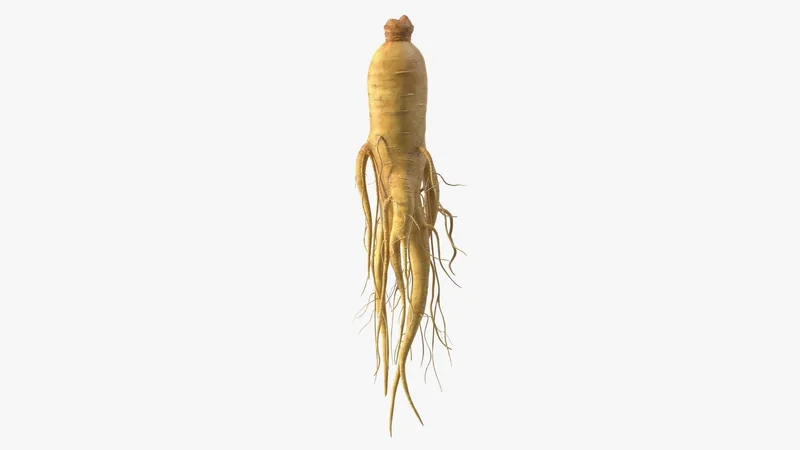 Fresh Ginseng Root 3D model preview