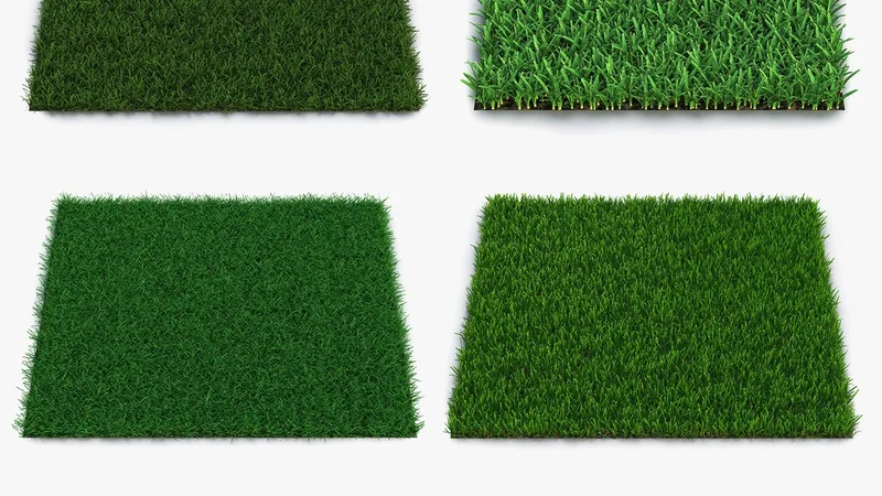 Grass Fields 3D Models Collection 3 3D model preview