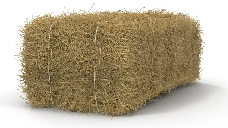 Hay Bale 3D model preview