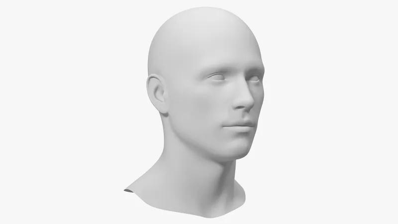Male Mannequin Head 3D model preview