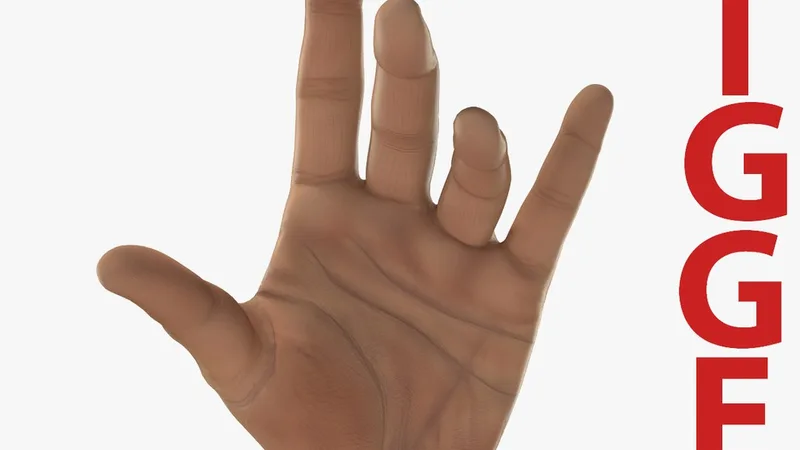 Man Hands 2 Rigged for Cinema 4D 3D model preview