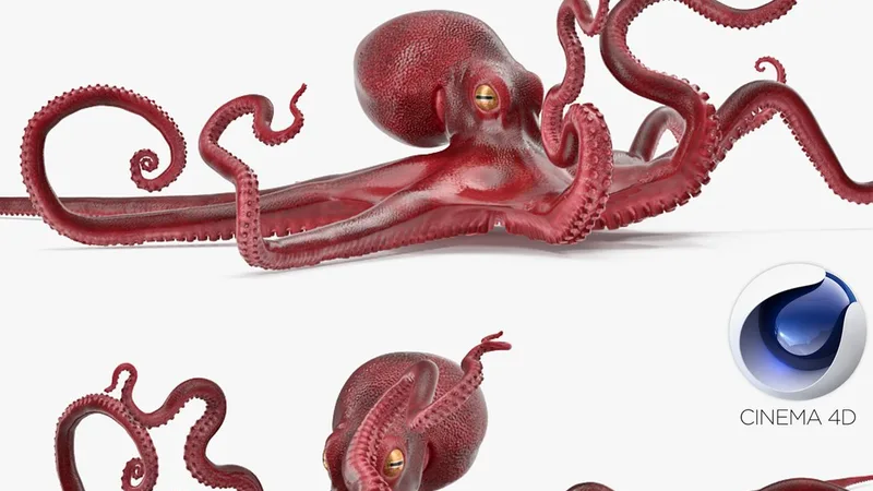 Octopus Vulgaris Rigged for Cinema 4D 3D model preview