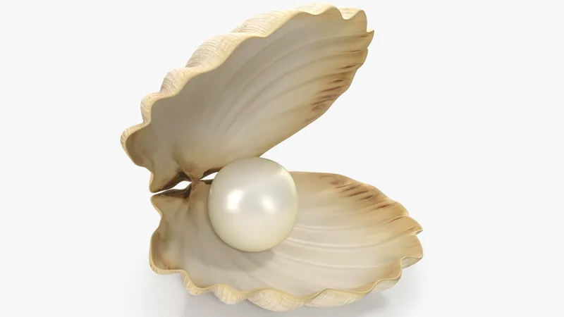 Sea Shell With Pearl 3D model preview