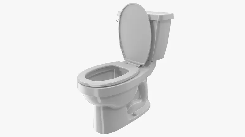 Toilet Classic White 3D model preview