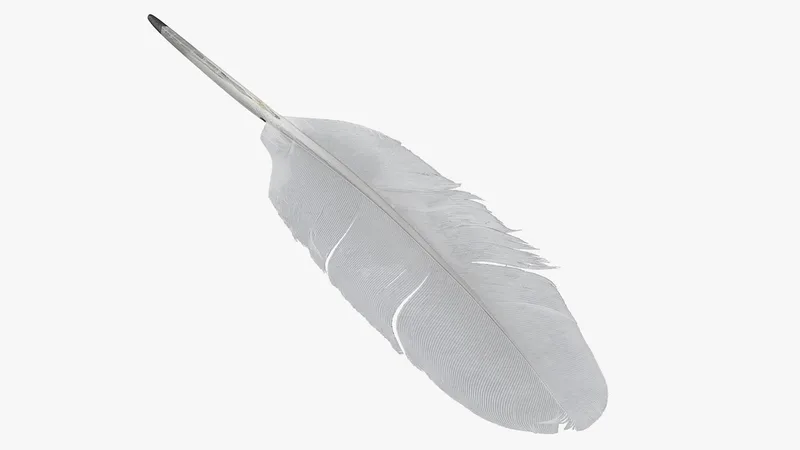 White Goose Feather 3D model preview